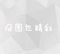 全面掌握SEO发包技术：实操教程与策略分享